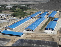 現代化牛場建設